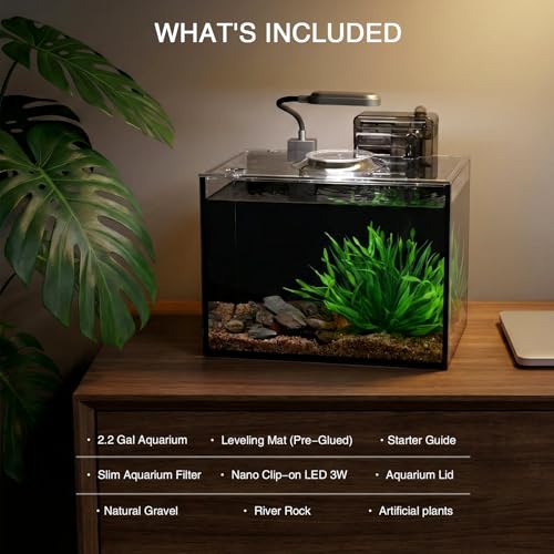 2 Gallon Betta Fish Tank, Small Aquarium Kit,Glass Small Fish Tank,Betta Fish Tank with a lid and Light and Filter, Small Transparent Glass Fish Tank with Light and Filter (Black Glass Background) - size: 2 Gallon