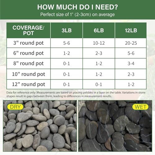 NUPICK 12lb Mexican Beach Pebbles, 1" Black River Rocks for Landscaping, Smooth Garden Rocks for Outdoor Paving, Natural Black Pebbles for Plants, Decorative Stones for Planters, Fish Tank, Fountain - color: Gray, size: 1", 12lb