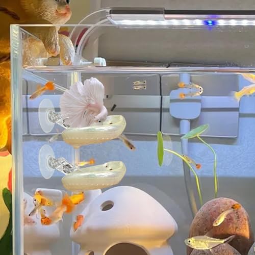 CAIJ 4 Pcs Betta Fish Resting Spot Shell Bed for Aquarium, Betta Hammock with Suction Cups, Natural Shell Habitat Designed for Betta, Fish Tank Accessories Decorations