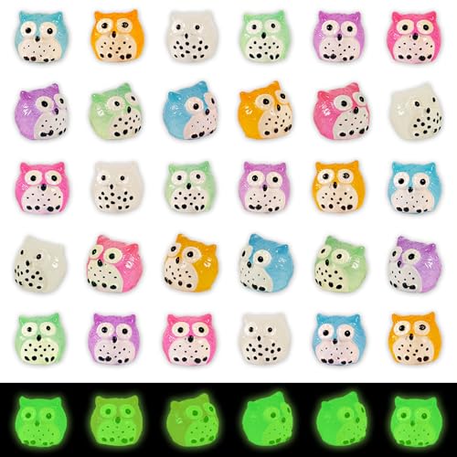 FEXIA 30pcs Mini Resin Owls Collection Mini Resin Animals to Hide Tiny Glow in the Dark Figures for Aquariums Dollhouses Fairy Garden Accessories - color: Owl-30pcs