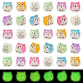 FEXIA 30pcs Mini Resin Owls Collection Mini Resin Animals to Hide Tiny Glow in the Dark Figures for Aquariums Dollhouses Fairy Garden Accessories - color: Owl-30pcs