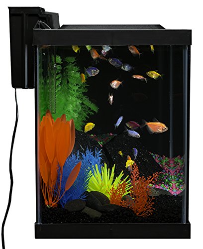 GloFish 20 Gallon Aquarium Kit with LED Lights, Decor Heater and Filter - size: 20-gallon kit