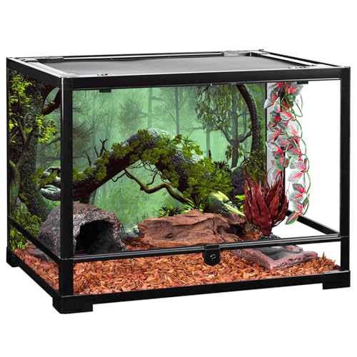 AWERT 30x18 inches Foggy Forest Terrarium Background Stone Green Tree Tropical Reptile Habitat Background Rainforest Aquarium Background Durable Polyester Background