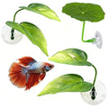 3 Pack Betta Fish Leaf Pad Improves Betta's Health by Simulating The Natural Habitat - Betta Fish Leaf Hammock, Natural, Comfortable Rest Area for Fish Aquarium Ornaments