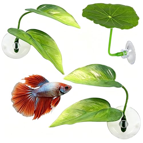 3 Pack Betta Fish Leaf Pad Improves Betta's Health by Simulating The Natural Habitat - Betta Fish Leaf Hammock, Natural, Comfortable Rest Area for Fish Aquarium Ornaments