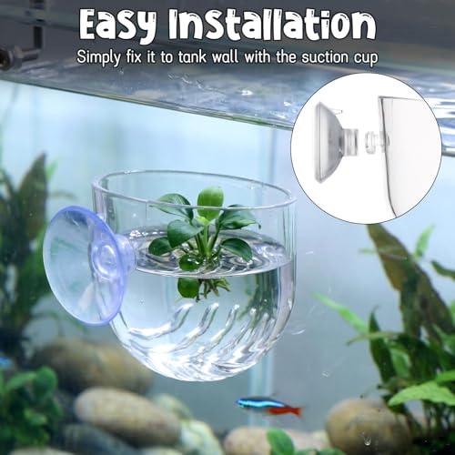 Gjinxi Aquarium Plant Holder, 2 Pcs Fish Tank Plant Pot, Clear Acrylic Aquatic Plant Cup, Red Worm Fish Shrimp Feeder, Aquarium Planter Cup with Suction Cup for Home Fish Tank Aquascape Decor