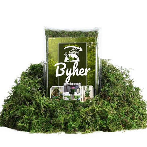 BYHER Fake Moss 4OZ - Moss for Crafts and Indoor Plants, Realistic Artificial Green Grass for Fairy Garden, DIY Projects, Potted Plants, Table Centerpieces, Wedding Decor (Realistic Green)