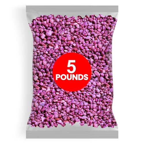 Hygloss Products Craft Rocks, Mini Stones for Art Projects - Bag O' Gravel, Neon Purple, 5 lb - color: Neon Purple, size: 5 lb, style: Gravel