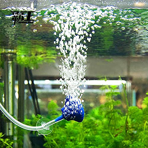 Feelers 1/4" ID x 3/8" OD Silicone Tubing Food Grade Pure Silicon Tube High Temp Home Brewing Winemaking Silicone Hose Tubing, 26.25ft Length - size: 1/4"ID-3/8"OD, style: 26.25ft length(8 Meter)