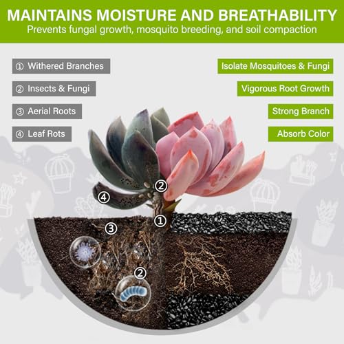 NUPICK 6lb River Rocks for Plants Indoor, 1/5 Inch Black Pebbles for Vases Fillers, Decorative Pea Gravel for Fish Tank, Natural Polished Stones for Succulent, Bonsai, Landscaping, Bird Baths - color: BLACK, size: 6Lb(1/5")