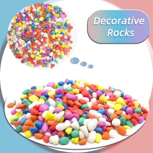 Mixed Color Pebbles for Crafts, 0.9 Pound Natural Polished Aquarium Gravel, Decorative Pebbles for Indoor Plants, Turtle Tank, Vase, Succulents Cactus, Garden Landscaping - color: Mixed Color