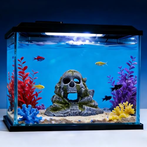 Aquarium Decoration, Crawler Box, Hidden cave, Fish Tank Decoration Accessories, Amphibians, Fighting Fish, Shrimp, Lizards, Leopards, Geckos, Hiding and Playing in Their habitats
