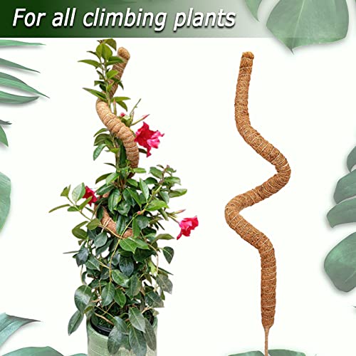 60 Inch Moss Pole for Plants Monstera, Tall Bendable Moss Poles for Climbing Plants Indoor, Large Handmade Plant Pole Sticks, Coco Coir Plant Support Stakes for Potted Plants, Pothos - color: 60 Inch