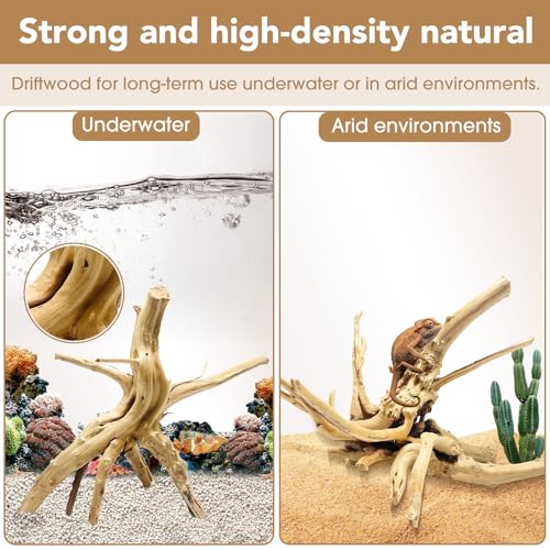 Jorewood Natural Large Spiderwood Driftwood for Aquarium Decor Rptile Fish Tank Decoration Assort Branch 11-14'' 2 Pcs - size: Spiderwood 11 to 14 Inch (Pack of 2)