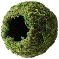 Galápagos (05346) Mossy Cave Hide, 4", Green