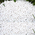 45lb White Rocks for Plants,Potting,Succulents Aquarium Fish Tank Garden Vases Decorative Pebbles Gravel Rocks Stones - size: 45LB, style: White
