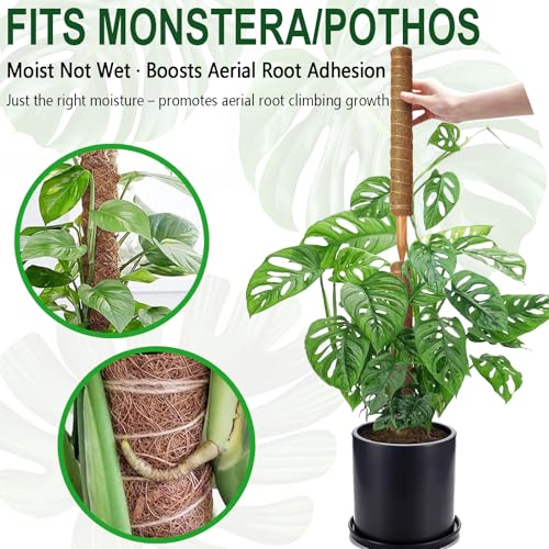 Soupiar 4 Pack 22 Inch Stackable Moss Pole - Thick & Sturdy Natural Coir Totem Plant Support & Garden Stakes for Monstera & Pothos, Indoor Climbing Vining Houseplants, 70" H Max - color: 4*22 inch