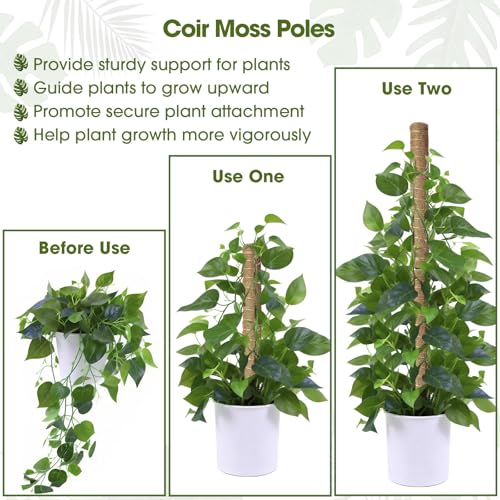 4 Pack 20 Inch Moss Poles, Stackable Moss Pole Monstera Plant Support, 66 Inch Tall Plant Stakes for Climbing Plants Indoor, Coir Plant Support Stick Stand for Potted Plants, Pothos, Philodendron