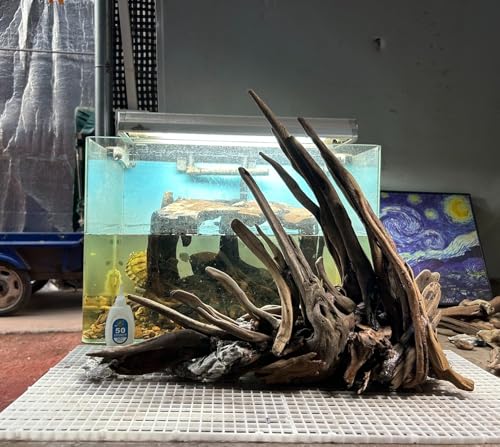 Aquarium Driftwood Branches,2.2lb 9-14inch Long Driftwood for Aquarium Reptile Driftwood Branches Log Natural Driftwood for Aquarium Reptile Branches