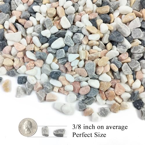 FANTIAN 2 lbs Succulent and Cactus Pebbles Gravel, 3/8 Inch Mixed Color Decorative River Rocks for Plants Indoor, Vases, Terrarium, Potted Top Dressing and Outdoor Decorative Stones - color: Mixed Color Gravel