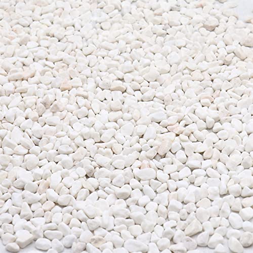 White Rocks. Decorative Pebbles. 1/5 Inch 2 lbs for Garden, Landscaping, Indoor, Vase Fillers, Crafting, Succulents, Pots, Plants (Mini, Tumbled, 2) - color: WHITE - TUMBLED, size: Mini (0.2 Inch)