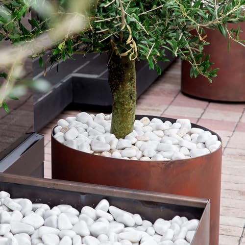 YISZM 5lb White Pebbles for Indoor Plants, 1-2 Inch Natural River Rocks, Snow White Decorative Stones, Ideal for Fish Tank, Vases, Crafting, Home Decor and Garden Landscaping Rocks - size: 5 Pounds, style: 1-2 Inch