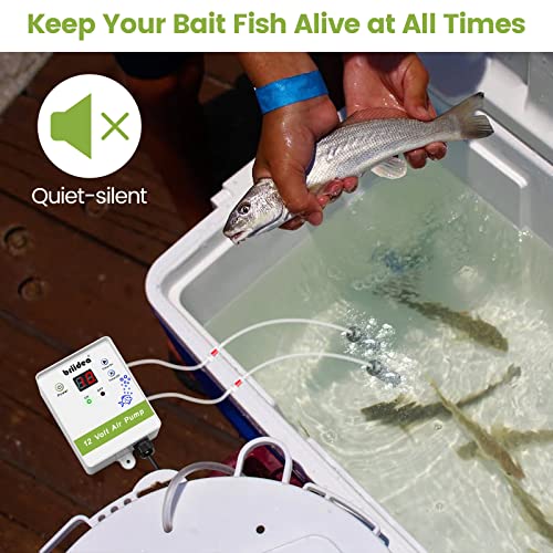 briidea Aerator for Bait Bucket, 12 Volt Livewell Aerator Pump System with Adjustable Pump Timing Cycle Function, Dual Outlet Aerator for Boat Bait Tank and Livewell, Keeps Bait Fish Alive
