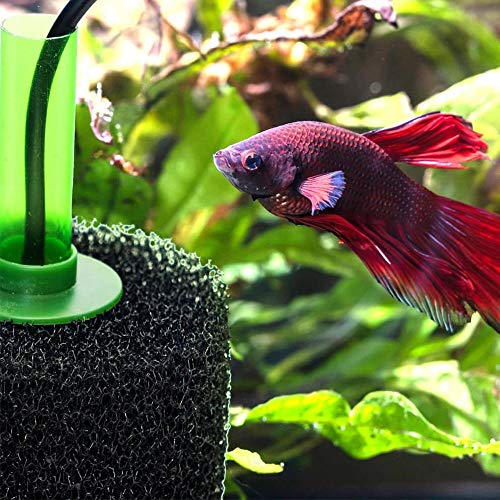 5″ Big Prefilter Sponge Foam Replacement Filtration Kit for Pond Aquarium Fish Tank, 6 Pack - color: Black, 6 Pack