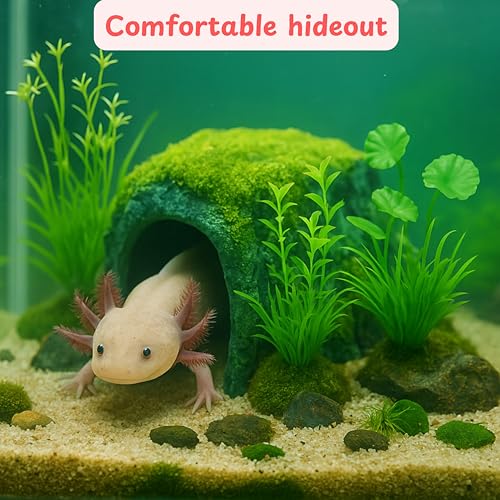 Axolotl Hides for Aquarium with Feeding Dish and Fake Plants Set, Axolotl Cave with Green Plants, Aquarium Decor, Fish Tank Decorations, Turtle Tank Accessories (Cave+Plant+Feeding Dish, L) - color: Cave+Plant+Feeding Dish, size: L