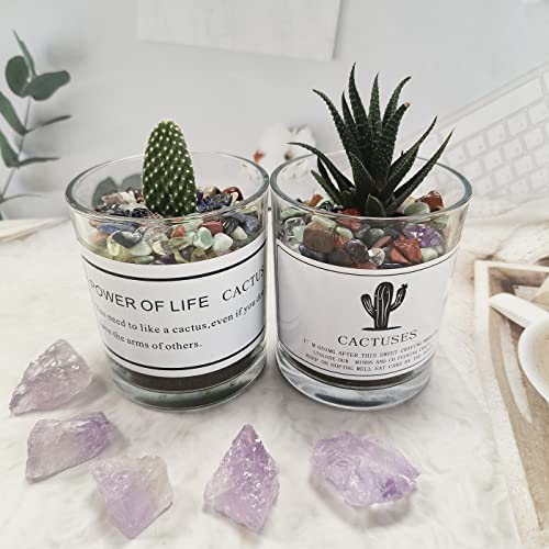 ZHIYUXI Chakra Crystal Chips Fish Tank Gravel Vase Filler Stones Crushed Crystals Gemstone Polished Healing Crystals Natural Quartz Stone 0.44lbs - color: B# Chakra, size: 0.44 Pound