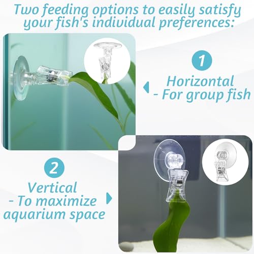 6 Pack Aquarium Suction Cup Clips, Clear Plastic Fish Feeding Tool, Veggie Seaweed Plant Holder for Fish, Underwater Fish Feeder, Tank Fish Feeder Clips Accessories