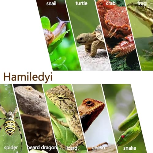 Hamiledyi Reptile Driftwood Branch Decor Terrarium Ornament Wood Climbing Natural Aquarium Driftwood Decoration for Snake Bearded Dragon Leapord Gecko Lizard Iguana