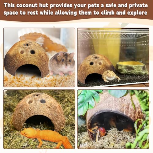 Natural Coconut Reptile Hideouts Lizard, Coco Hut Hermit Crab Hut Aquarium Fish Hide Cave for Small Reptile Crested Gecko Leopard Gecko Spider Snail Climber Toys (4 PCS Natural Surface)