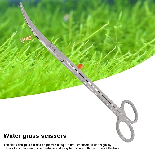 Gavigain Stainless Steel Aquarium Scissors, Curved and Straight Designs, Ergonomic Handle, Sharp Blades, for Aquascaping Hobbyists and Professionals (Bend 25cm)
