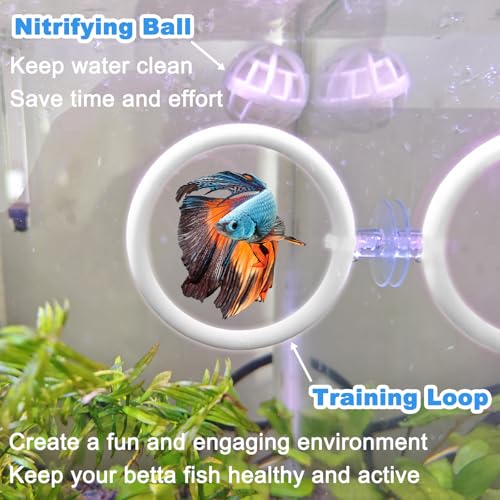 Betta Fish Toys - 4 Training Rings & 2 Bio Filter Balls, Beta Exercise Loop Toys and Nitrifying Balls Set, Betta Fish Tank Accessories Feeding Ring for Small Tank Decor Aquarium Water Conditioner