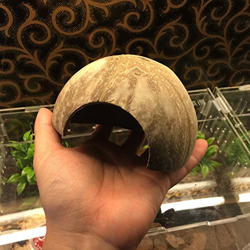 Hypeety Natural Coconut Reptile Habitat Hideout for Reptile, Lizard, Spider, Snake, Aquarium, Fish Hide Cave Hermit Crabs, Hamsters Natural Coco Hut Organic Non-Toxic Aquarium Decoration