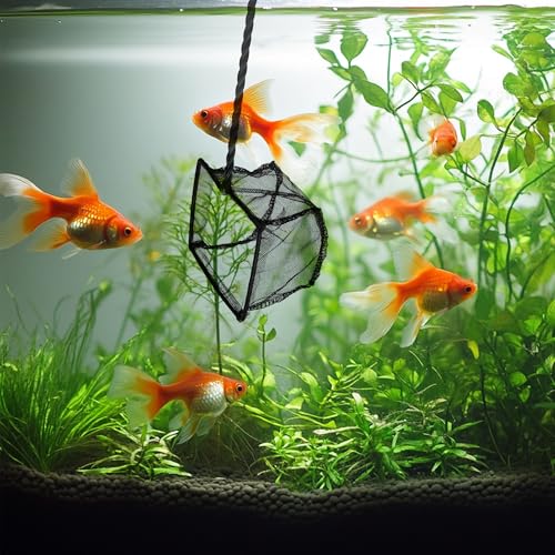 3 Pack Aquarium Net, Multi-Size Fine Quick Fish Catch Nets Extra Soft Nylon Fishing Nets with Plastic Handle for Aquarium Fish Tank Supplies- Black (4in,5in, 6in) - color: Black, size: Multi-Size Set: 4"/5"/6" (3-Pack)
