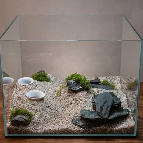 Double-Holed Tunnel Aquarium Cave, 3D Print Fish Hideout for Aquarium Fish Tank Decor, for Viewing Shrimp, Betta Fish, Corydora, Catfish, Pleco (White) - color: White