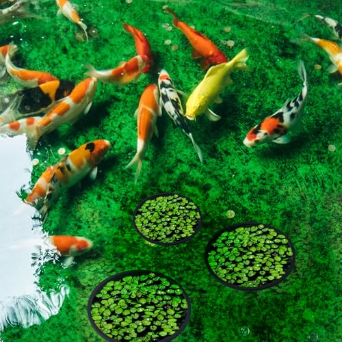 10PCS Fish Feeding Rings, 5 Sizes Oval Aquarium Floating Plant Barriers, Foam Fish Feeder Rings, Fish Tank Aquarium Accessories for Fish, Floating Plant - Black