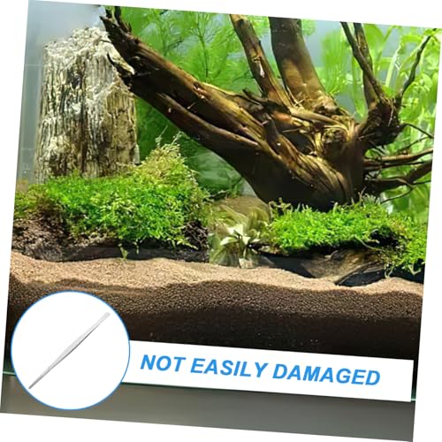 BESPORTBLE Stainless Steel Straight Tweezers for Aquarium Planting Durable and Flexible Precision Tool for Easy Water Plant Positioning