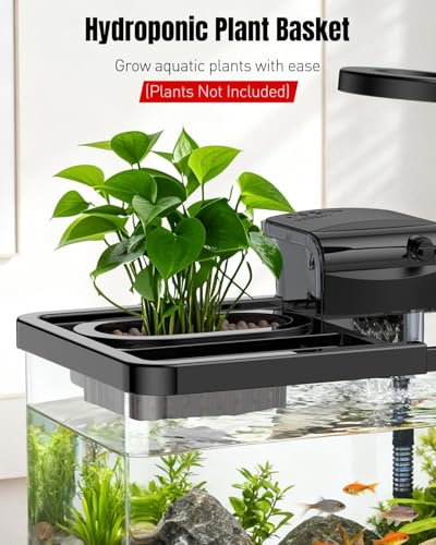 Pawfly 2 Gallon Fish Tank, Small Aquarium Kit, Betta Fish Tank Starter Kit with 6 W LED Light, 65 GPH Filter, Siphon Vacuum Water Changer & Basket, Aquarium for Betta, Shrim, or Small Fishes - color: Black-01