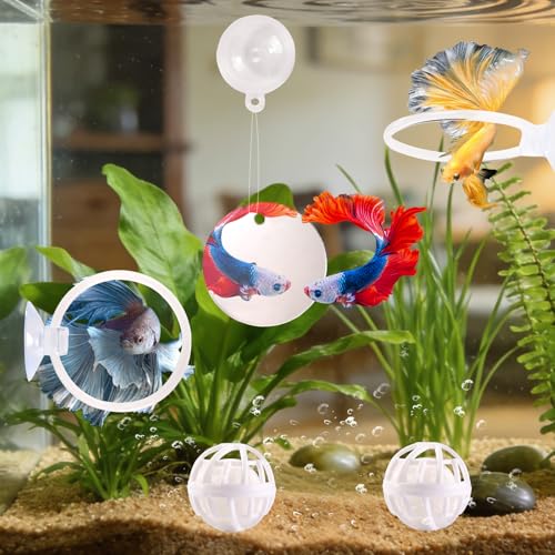 Betta Fish Toys, 2 PCS Fish Exercise Ring and Nitrifying Balls Set, Betta Mirror Toy Set, Feeding Ring with Suction Cup, Fishing Tank Accessories for Gifts (White) - color: White