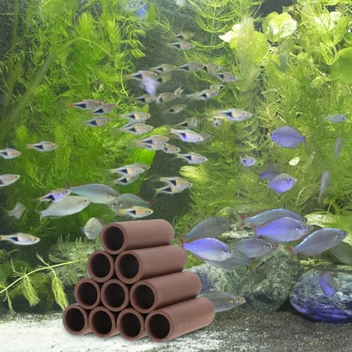 Healifty Shrimp Hideaway Pipe and Pottery Breeding Shelter Cave for Aquarium Fish Tank, Spawning Tube Hiding Habitat Ornament for Freshwater Shrimp Breeding and Stress Reduction