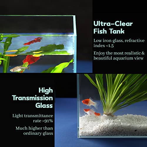 10 Gallon Ultra Clear Glass Fish Tank, Rimless Low Iron Aquarium for Betta/Nano/Goldfish/Snail/Shrimp, Big Fish Tank & Cover Set & Feeding Ring & Cleaning Tools - color: 10 Gal