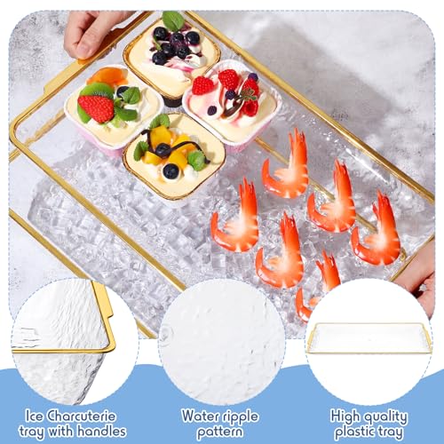 Baderke 2 Set 16" x 9" Plastic Chilled Serving Tray for Parties with Compartments Ice Chilled Party Platter Charcuterie Serving Board Cold Dish Dip for Fruit Seafood Vegetable Appetizer (Gold Rim) - color: Gold Rim