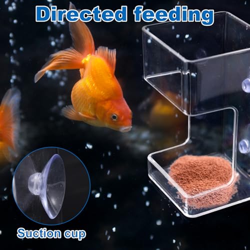 Fish Feeder for Aquarium, 3.94x2.36 Inch Fish Tank Dish Tray Floating & Sinking Food Container Holder Dispenser with Suction Cups for Turtle Shrimp Feeding (Square)