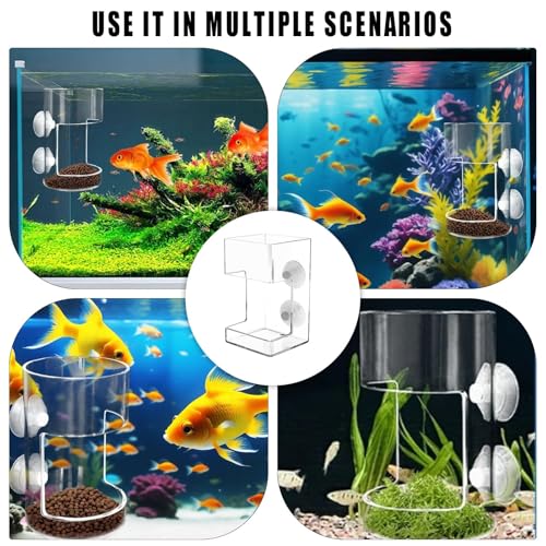 No Mess Aquarium Feeder, Acrylic Clear Fish Tank Feeder with Suction Cup, Preventing Food Scattering Feeding Tray Hollow Floating Sinking Shrimp Food Holders (1, Round + Square) - color: Round + Square