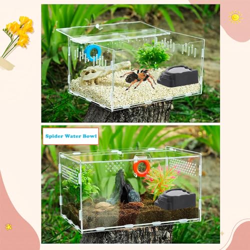 6 Pcs Spider Micro Water Bowl, Small Resin Dish for Tarantula Hermit Crab Spider Millipede Tiny Reptile (Medium: 1.65" D, 0.59" H)
