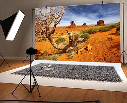 Leyiyi 5x4ft Monument Valley Photography Background American National Park Navajo Tribal Park Cowboy Western Desert Plant Rock Dry Trunk Warship Landmark Film Polyester Backdrop Terrarium Background - color: Desert4, size: 5x4ft-P