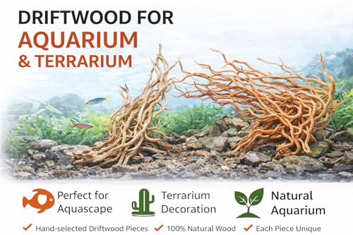 Azil Natural Aquarium Driftwood Root – Driftwood for Aquarium Decor, 170g~0.38lb (14″–16″), Fish Tanks, Terrariums, Aquascaping & Planted Tanks - size: Root mix 14 - 16 inch